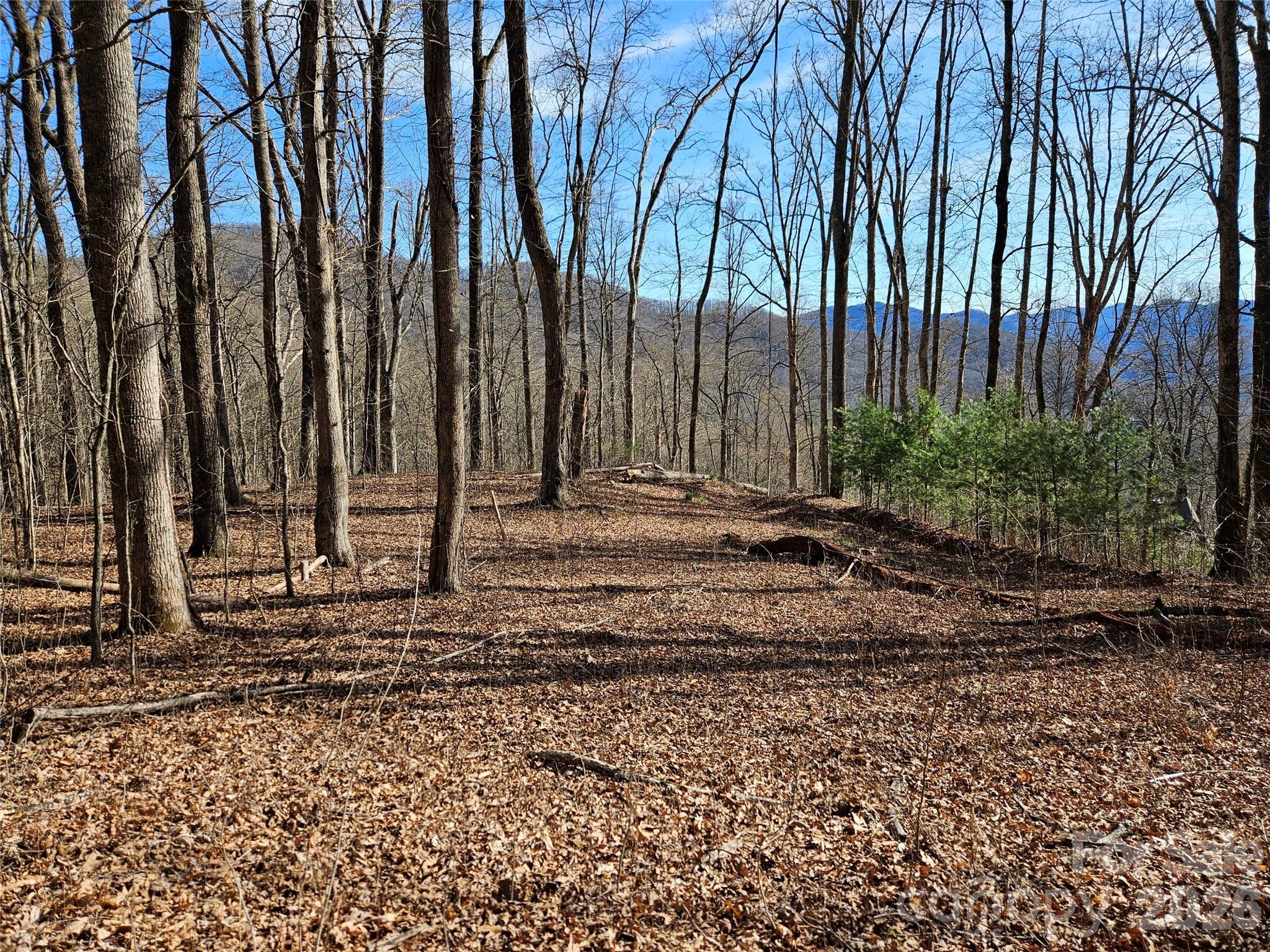 262 Si Knob Road Cullowhee, NC 28723 - Photo 5 of 14 a view of a backyard with large trees