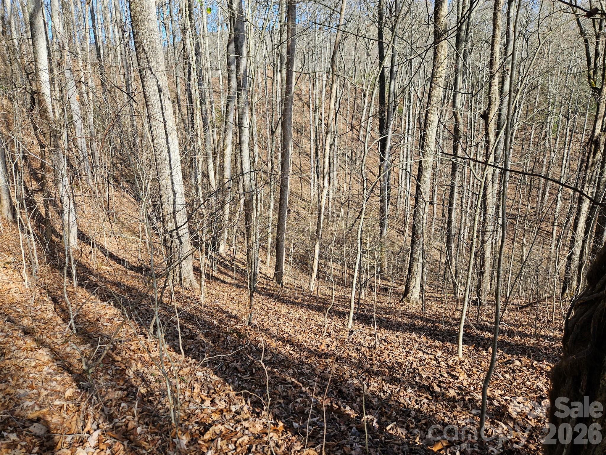 262 Si Knob Road Cullowhee, NC 28723 - Photo 6 of 14 a view of a backyard