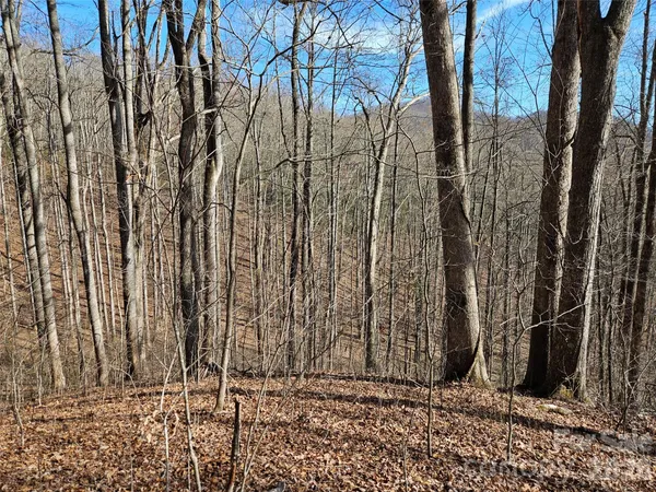 a view of a backyard of the house