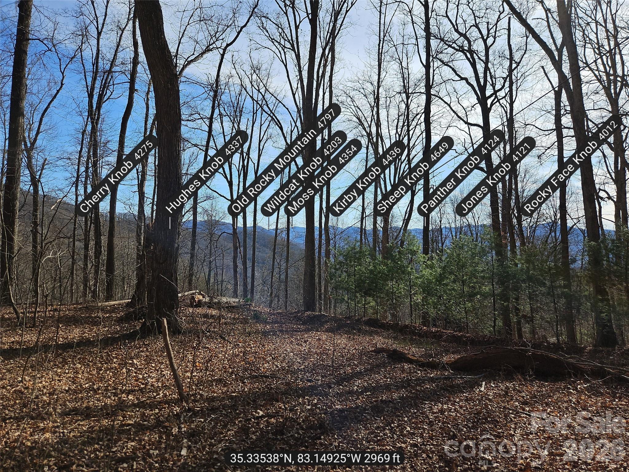 262 Si Knob Road Cullowhee, NC 28723 - Photo 8 of 14 a backyard of a house with lots of green space
