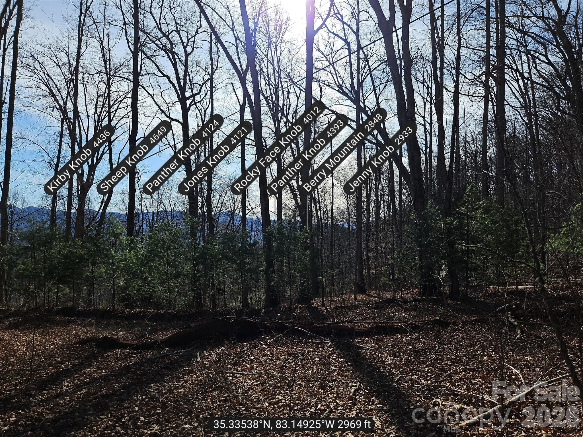 262 Si Knob Road Cullowhee, NC 28723 - Photo 9 of 14 a view of backyard with green space