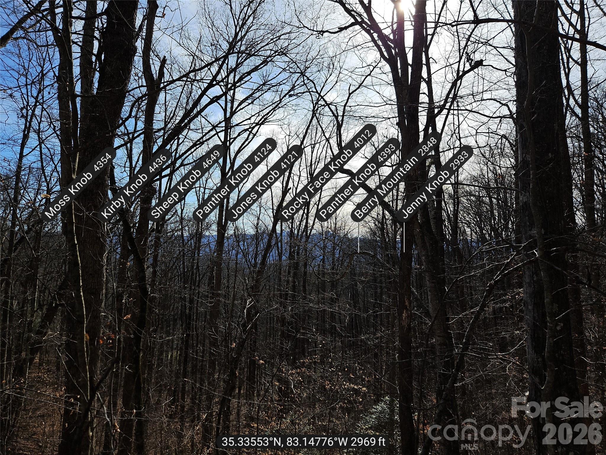 262 Si Knob Road Cullowhee, NC 28723 - Photo 10 of 14 a view of forest