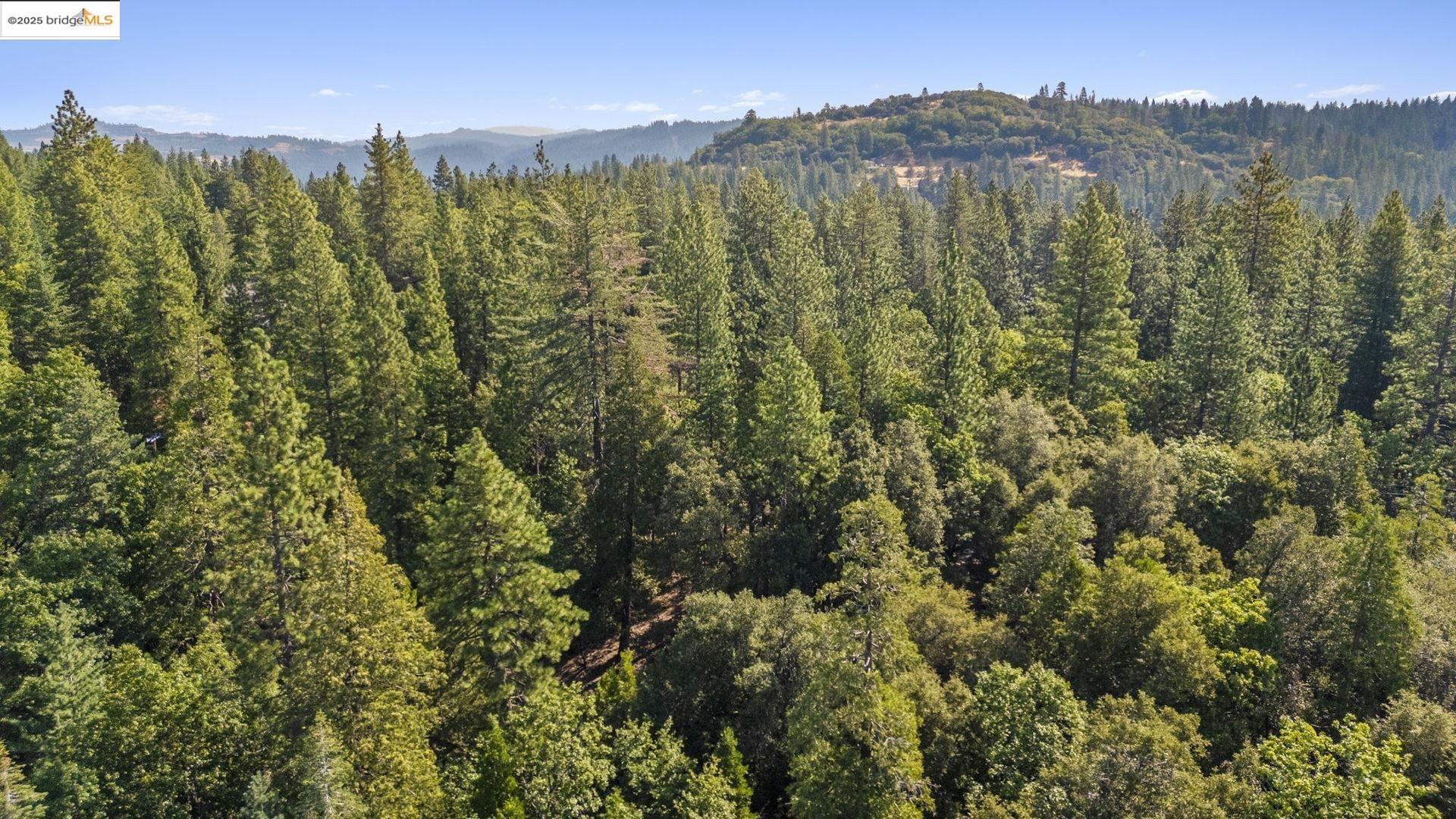 23744 Elizabeth Peak Road Twain Harte, CA 95383 - Photo 11 of 19