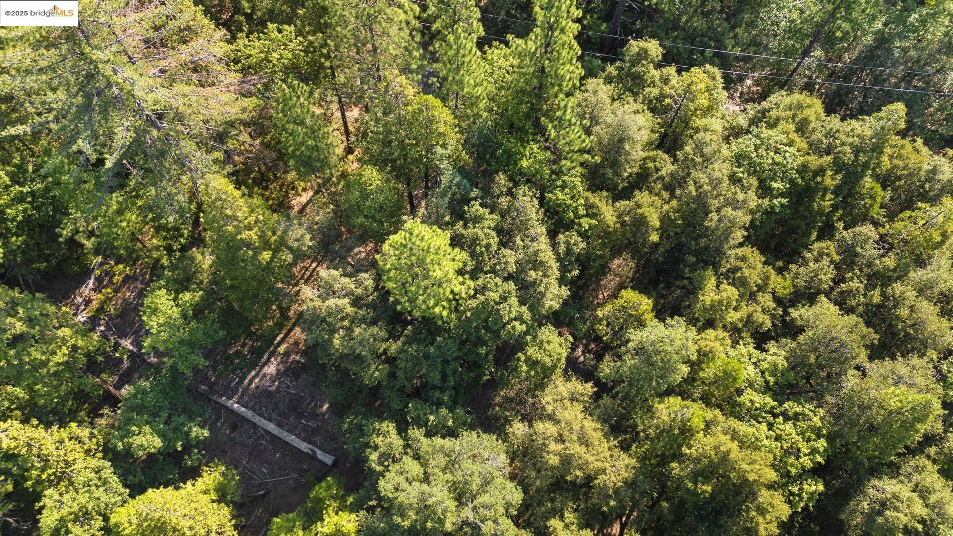23744 Elizabeth Peak Road Twain Harte, CA 95383 - Photo 12 of 19