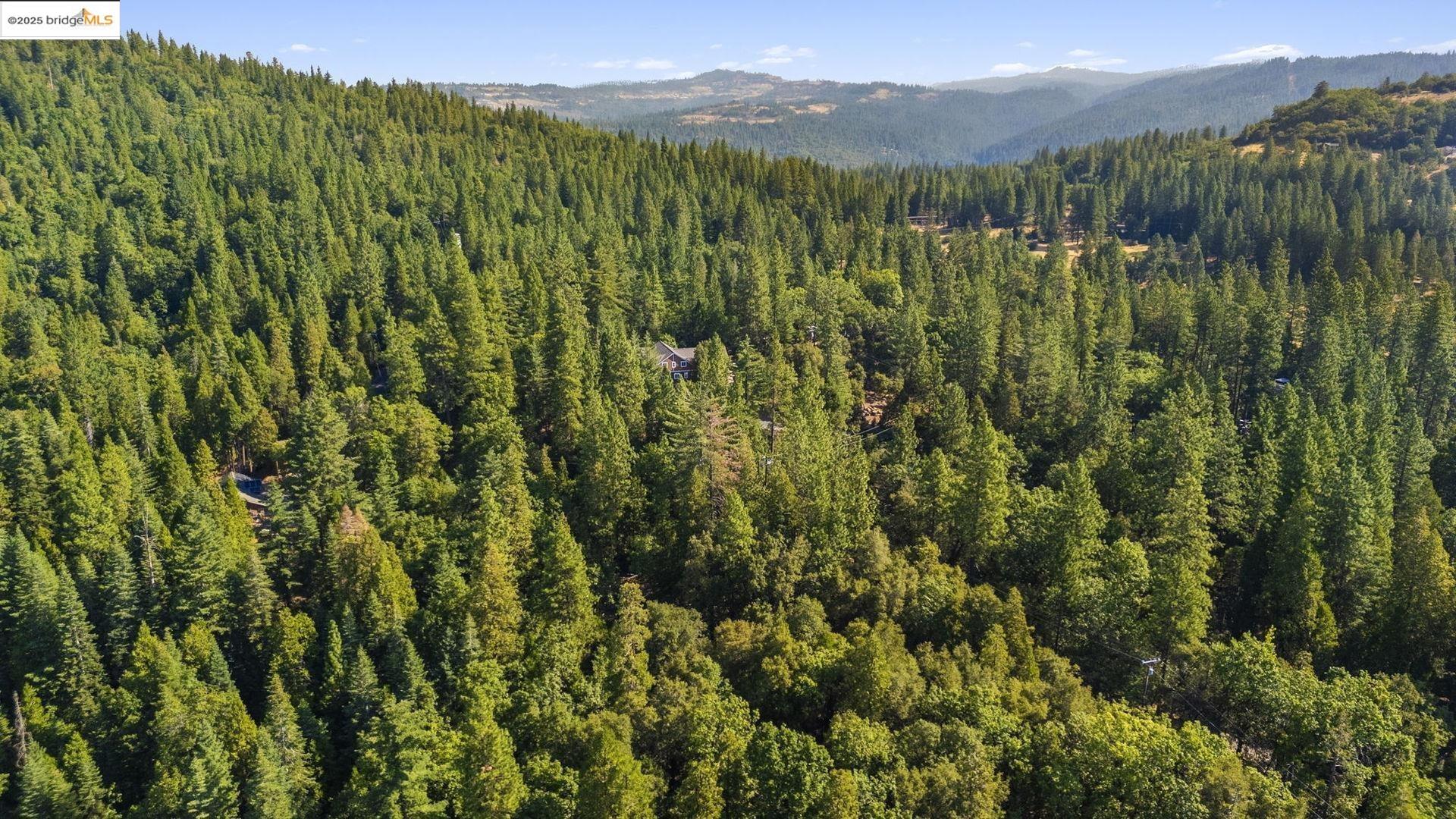 23744 Elizabeth Peak Road Twain Harte, CA 95383 - Photo 17 of 19