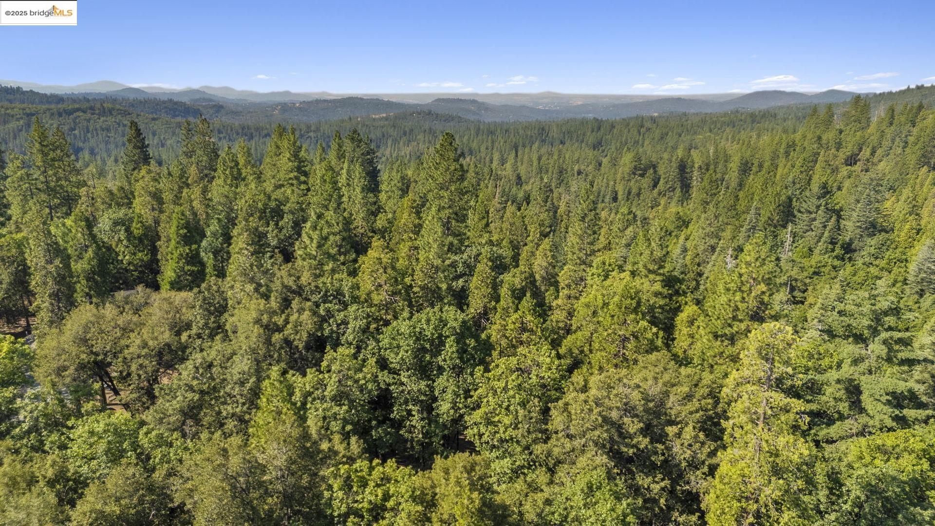 23744 Elizabeth Peak Road Twain Harte, CA 95383 - Photo 18 of 19