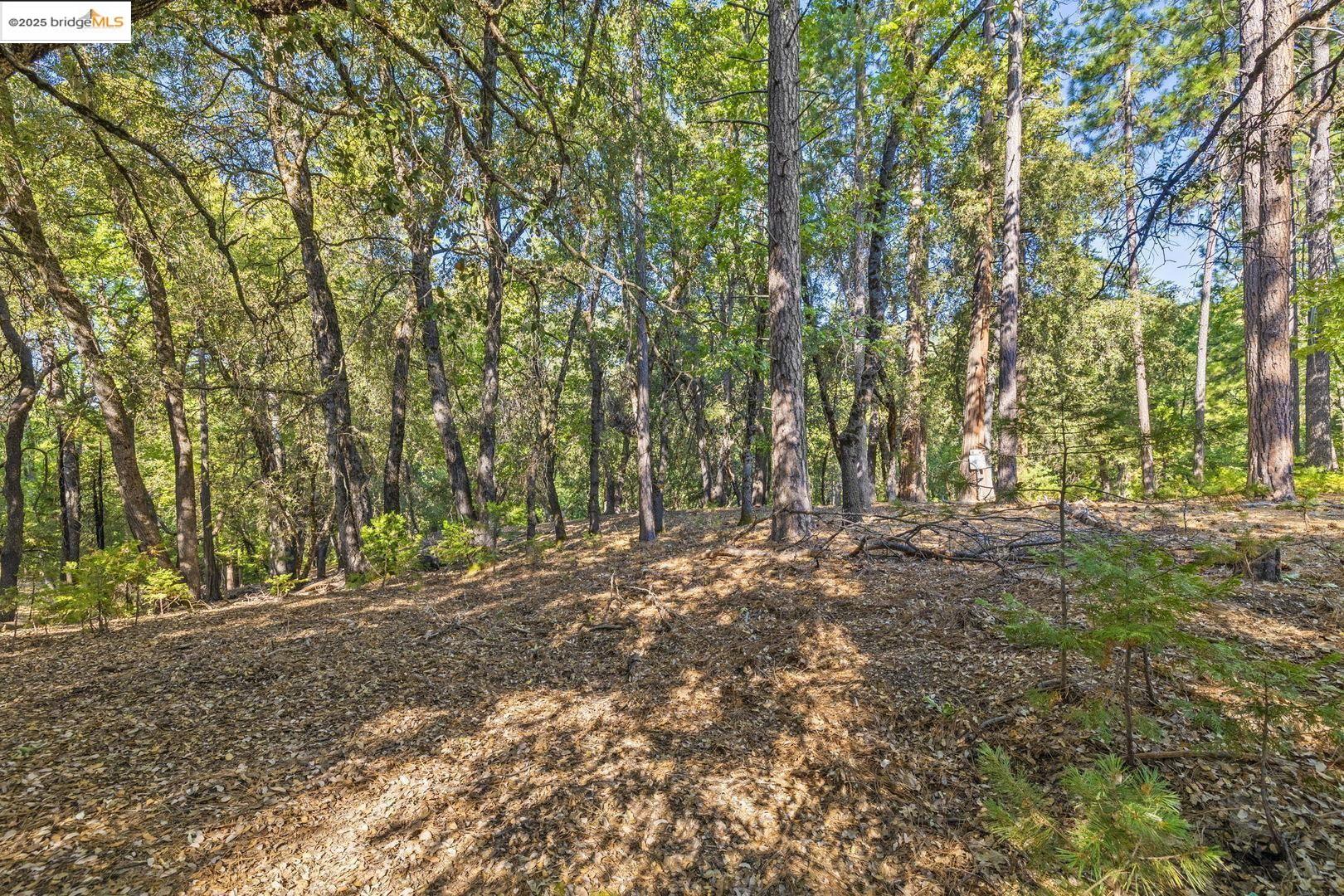 23744 Elizabeth Peak Road Twain Harte, CA 95383 - Photo 2 of 19