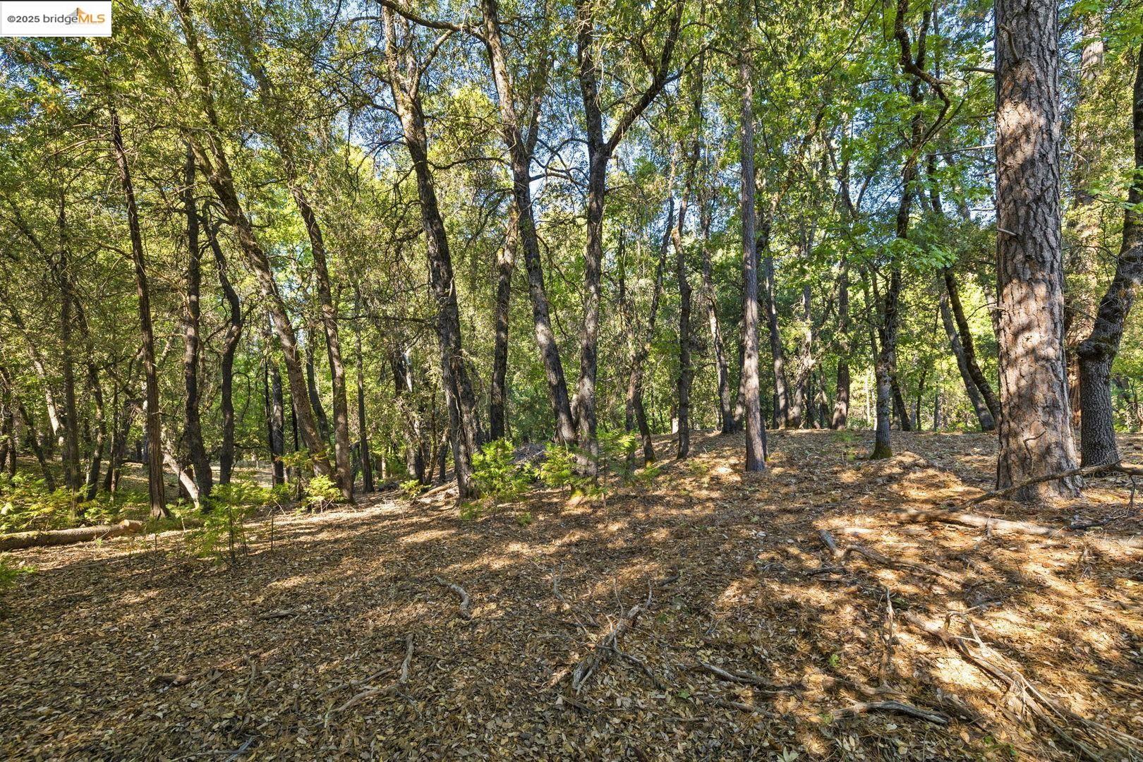 23744 Elizabeth Peak Road Twain Harte, CA 95383 - Photo 4 of 19