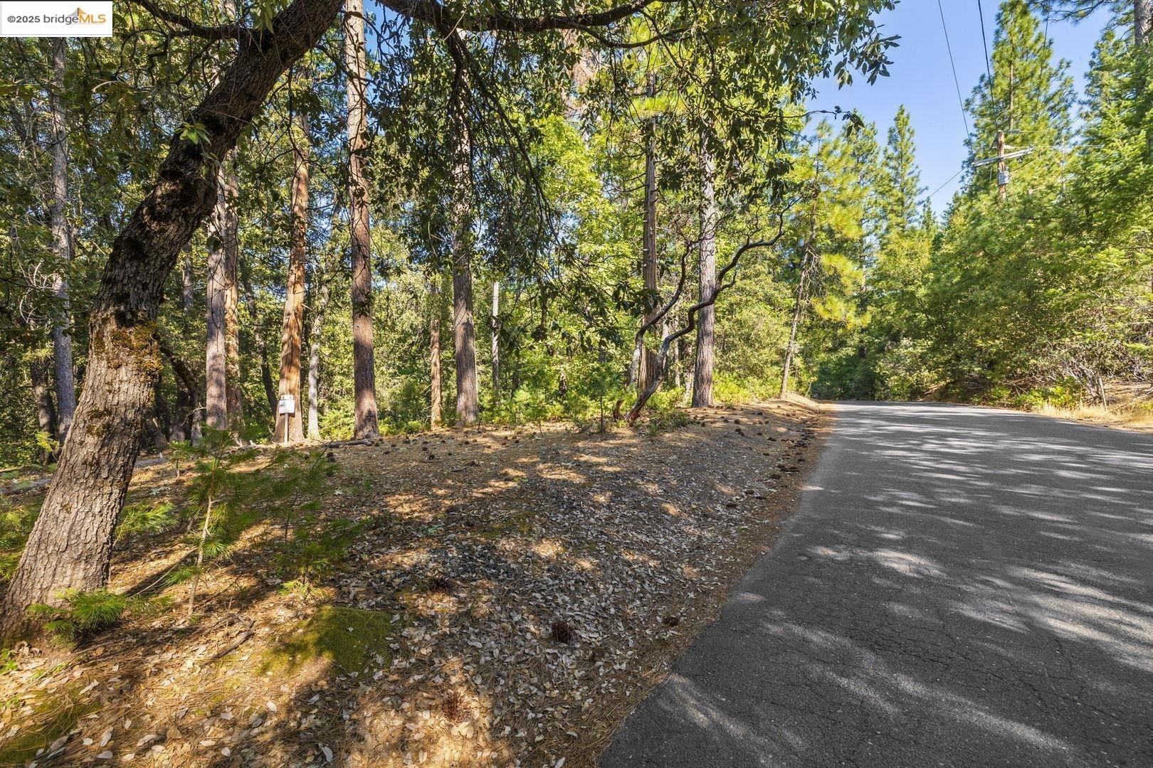 23744 Elizabeth Peak Road Twain Harte, CA 95383 - Photo 5 of 19