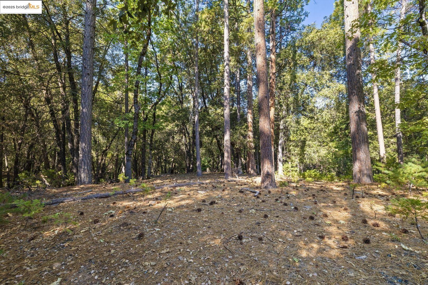 23744 Elizabeth Peak Road Twain Harte, CA 95383 - Photo 6 of 19