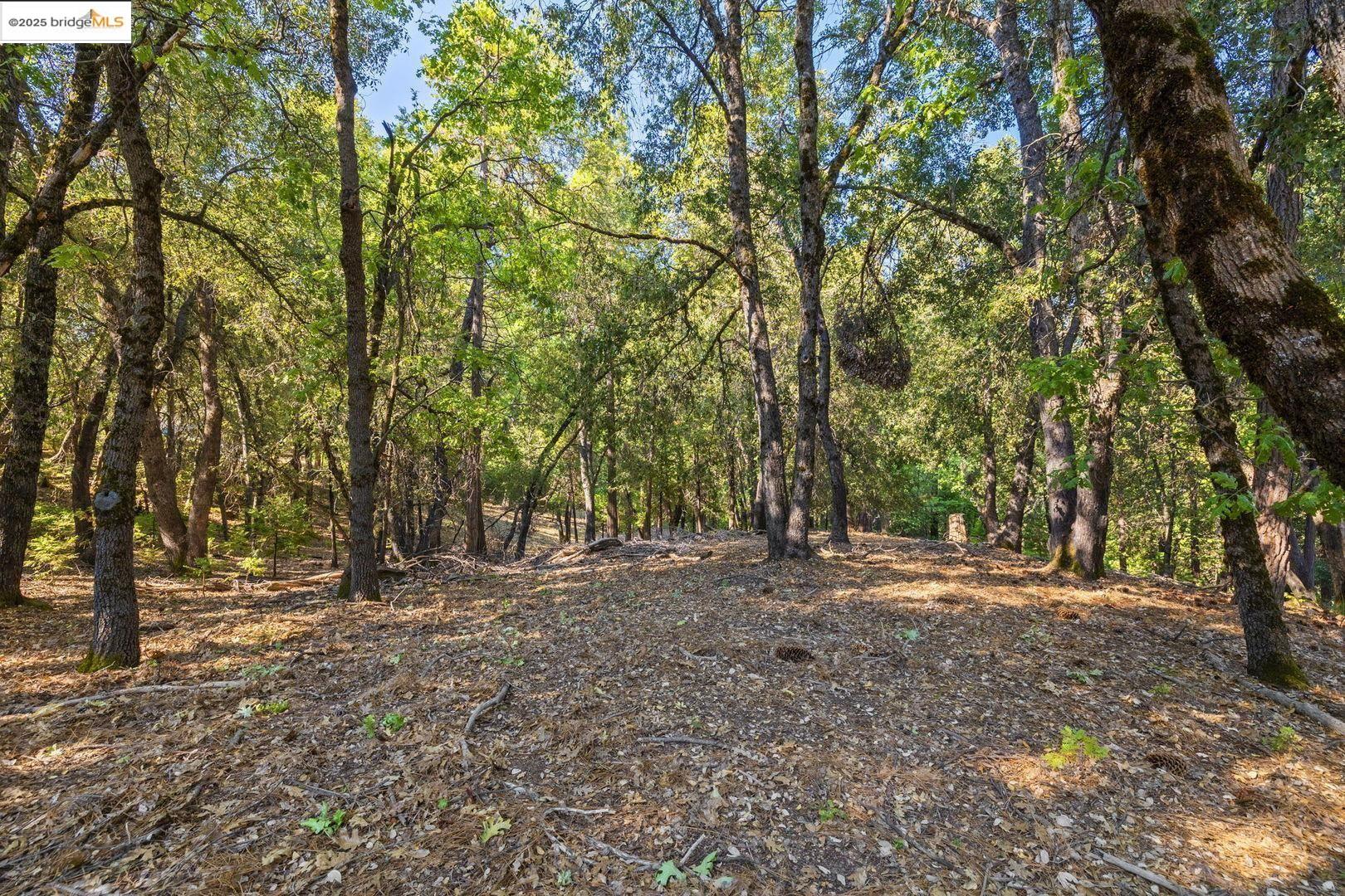 23744 Elizabeth Peak Road Twain Harte, CA 95383 - Photo 8 of 19