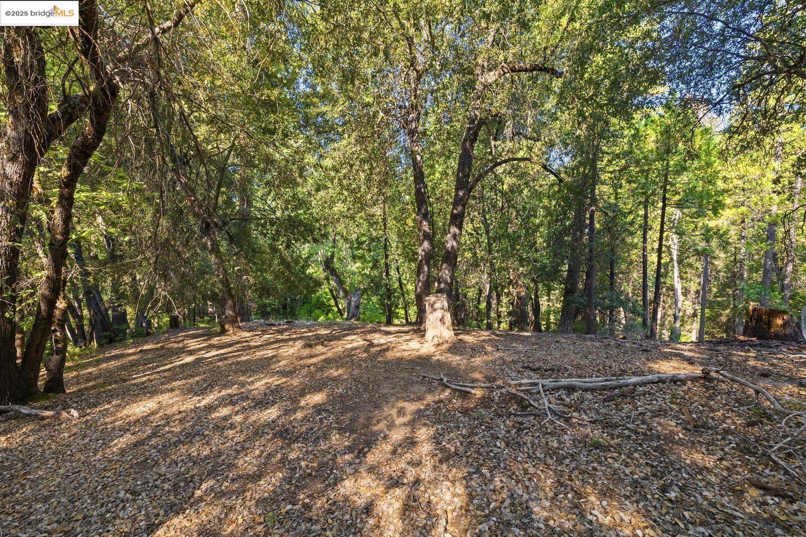 23744 Elizabeth Peak Road Twain Harte, CA 95383 - Photo 9 of 19