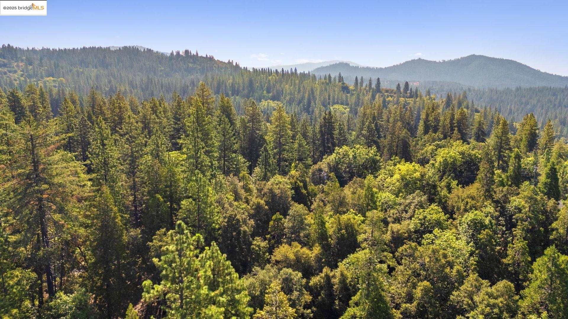 23744 Elizabeth Peak Road Twain Harte, CA 95383 - Photo 10 of 19