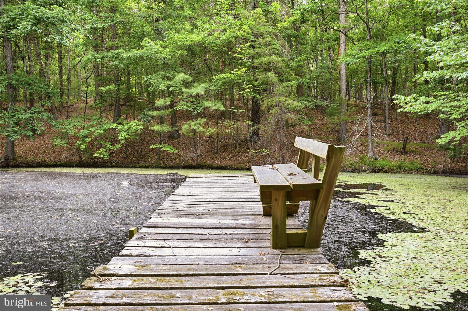 14636 Turner Road Fulks Run, VA 22830 - Photo 69 of 87 Tranquil dock by a serene pond.