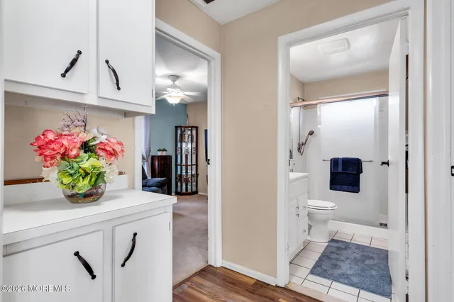 a hallway with wooden floor and a potted plant
