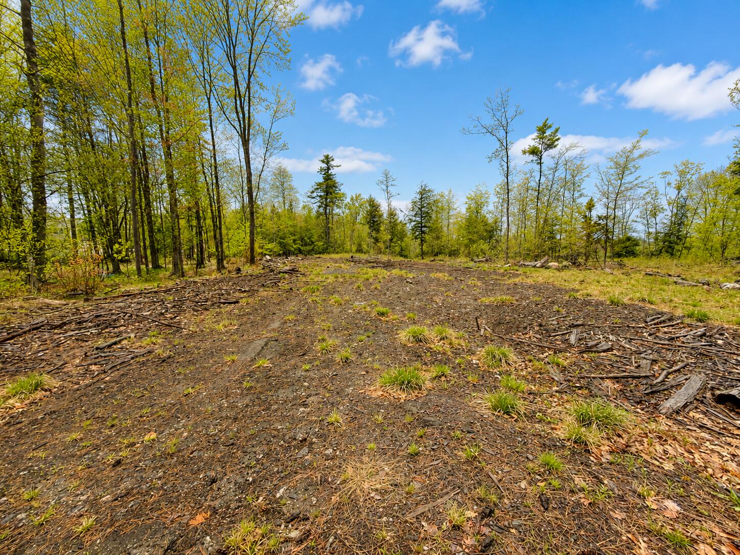 Map13-lot30 Clarks Bridge Road North Waterboro, ME 04061 - Photo 1 of 6 CC1B7C62-A44C-4C68-A589-581AB542B59C