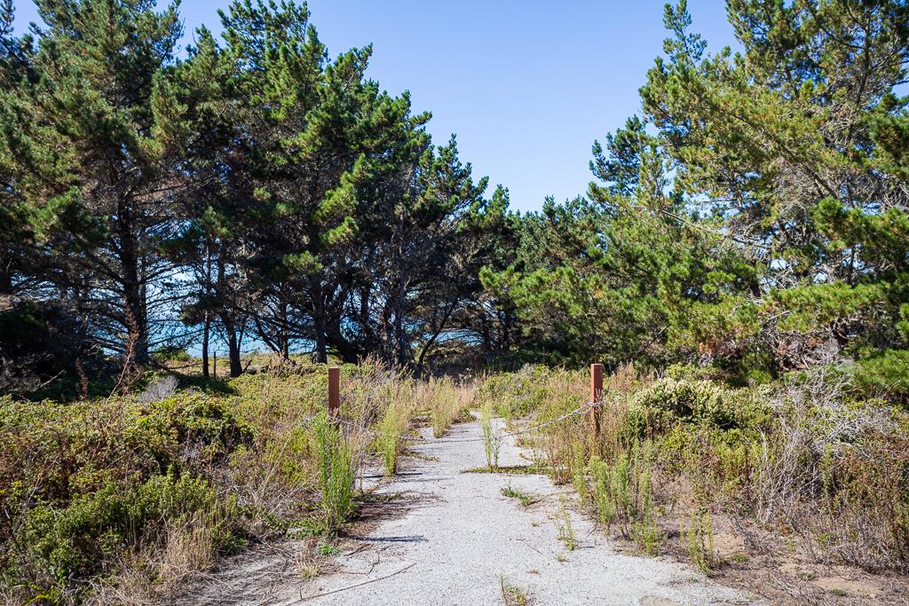 0 Cabrillo Highway Pescadero, CA 94060 - Photo 13 of 13
