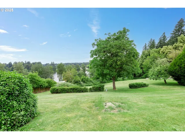 a backyard of a house with lots of green space