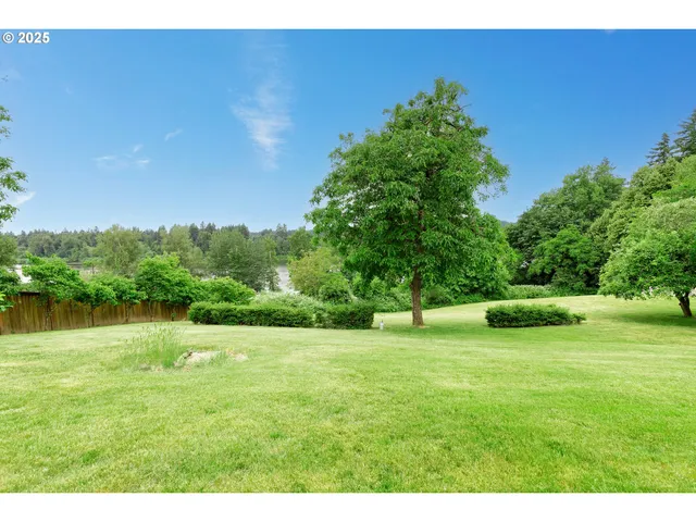 a view of an outdoor space and a yard