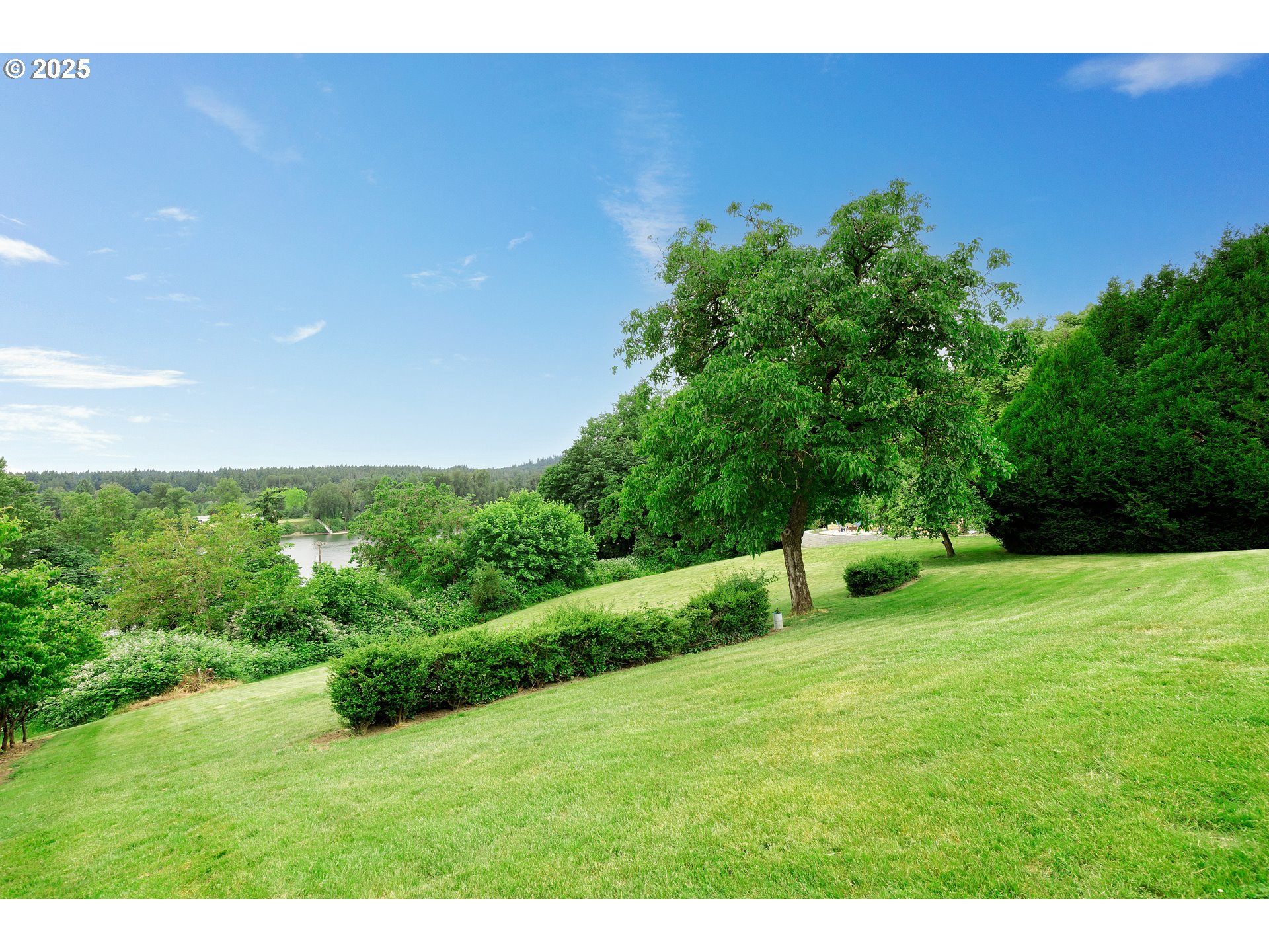 10202 South New Era Road Canby, OR 97013 - Photo 38 of 48 a view of an outdoor space and a yard