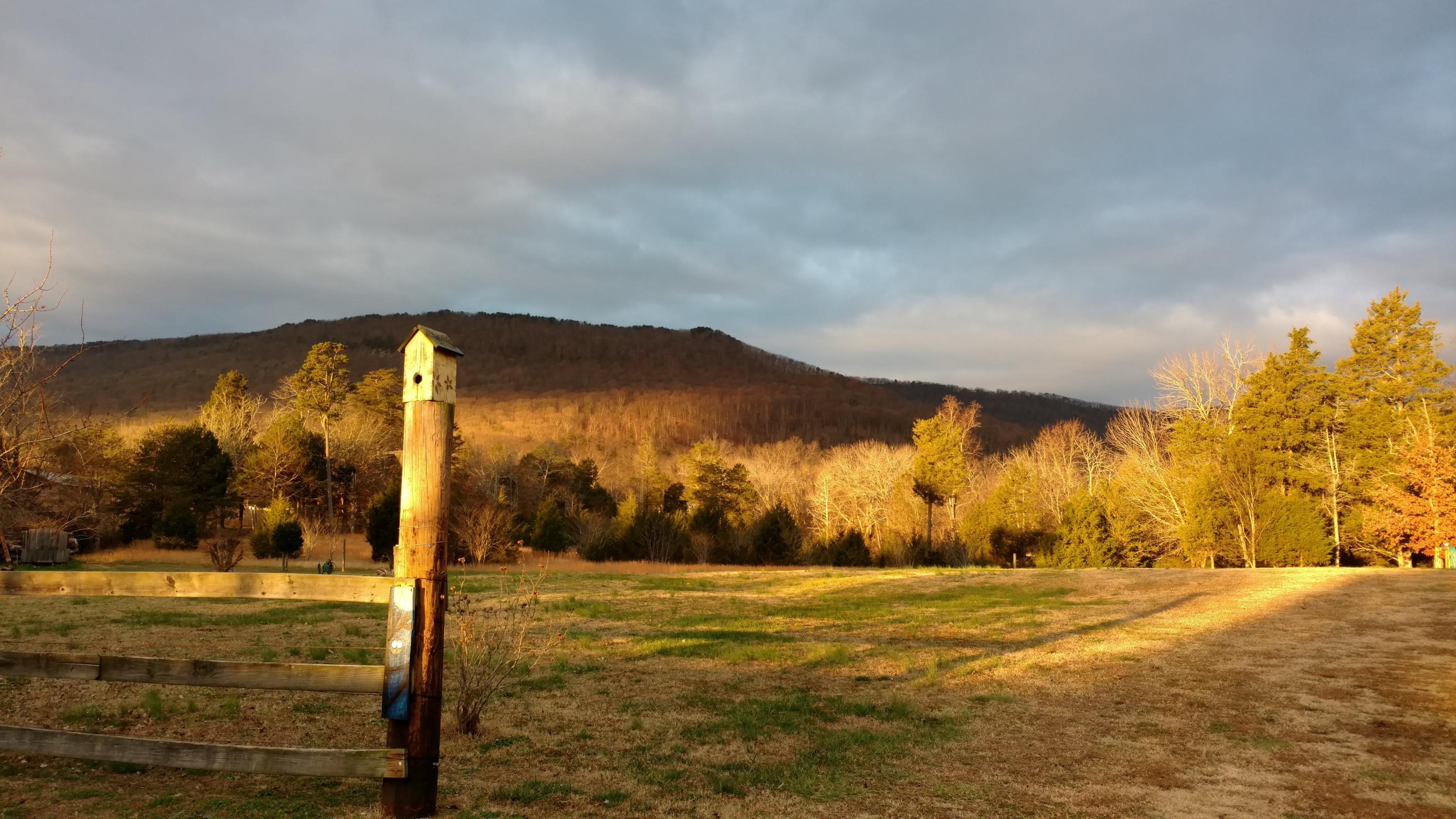274 West Cove Road Chickamauga, GA 30707 - Photo 22 of 23 545EBC25-2C33-4A72-B3B8-3DFB533757B8