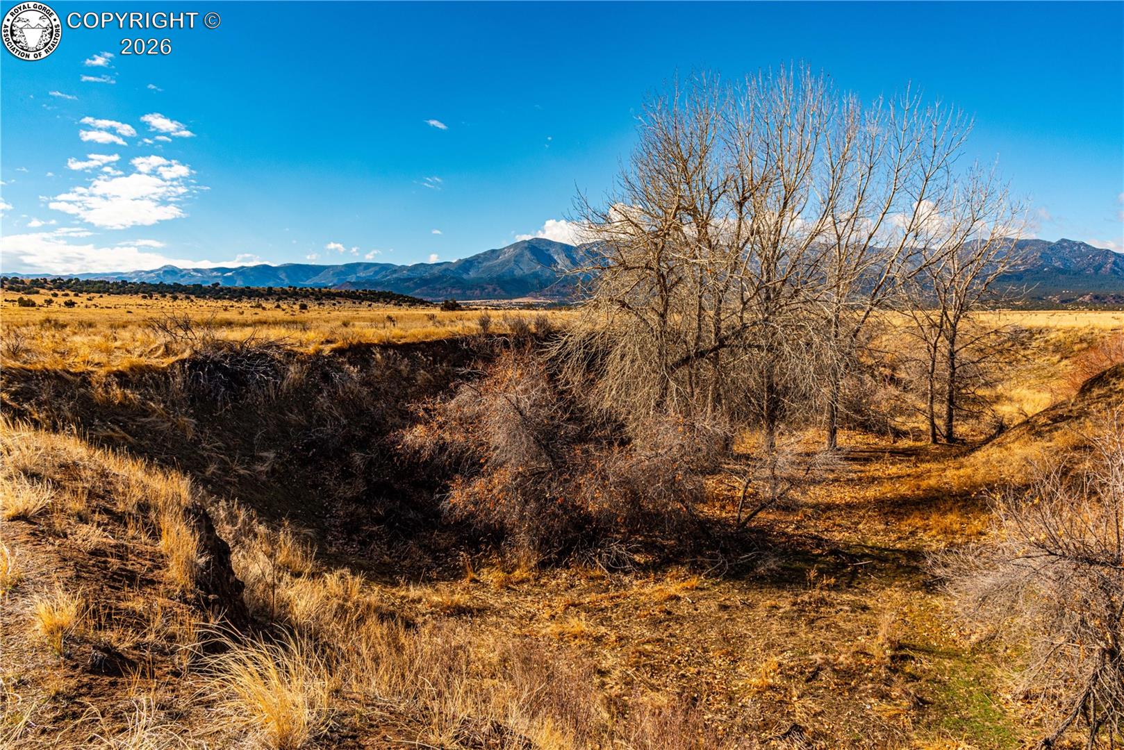 106 County Road 106 Rye, CO 81069 - Photo 14 of 35 Gallery Image 14
