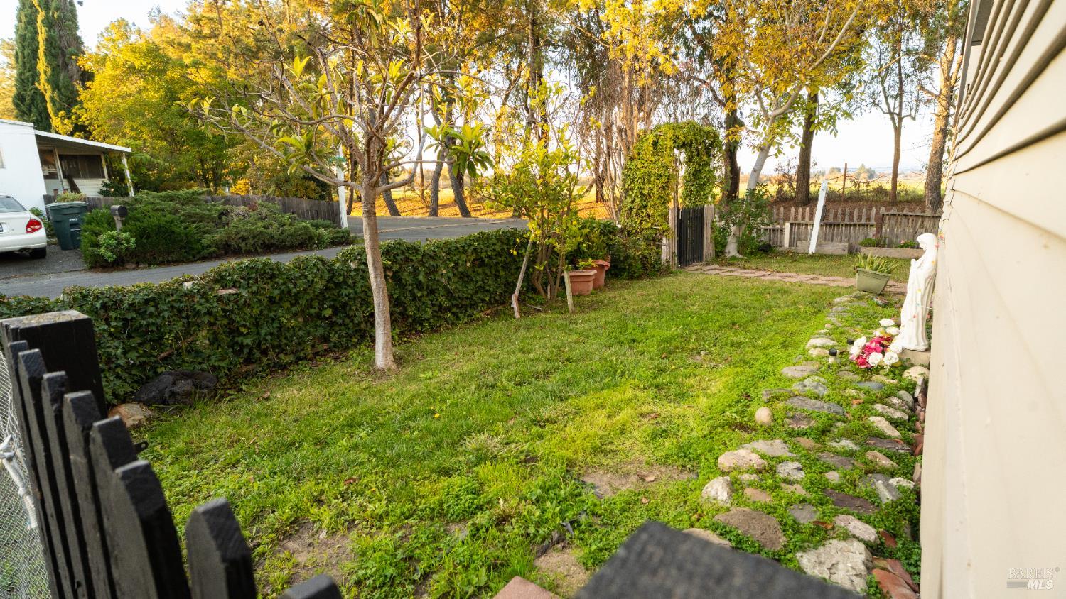 401 Frisbie Avenue Santa Rosa, CA 95407 - Photo 3 of 50 a view of garden with trees