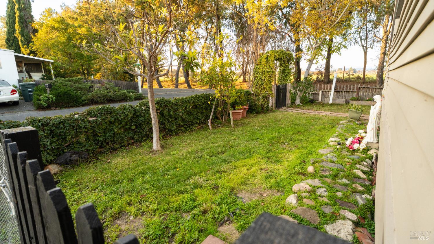 401 Frisbie Avenue Santa Rosa, CA 95407 - Photo 5 of 50 a view of garden with trees