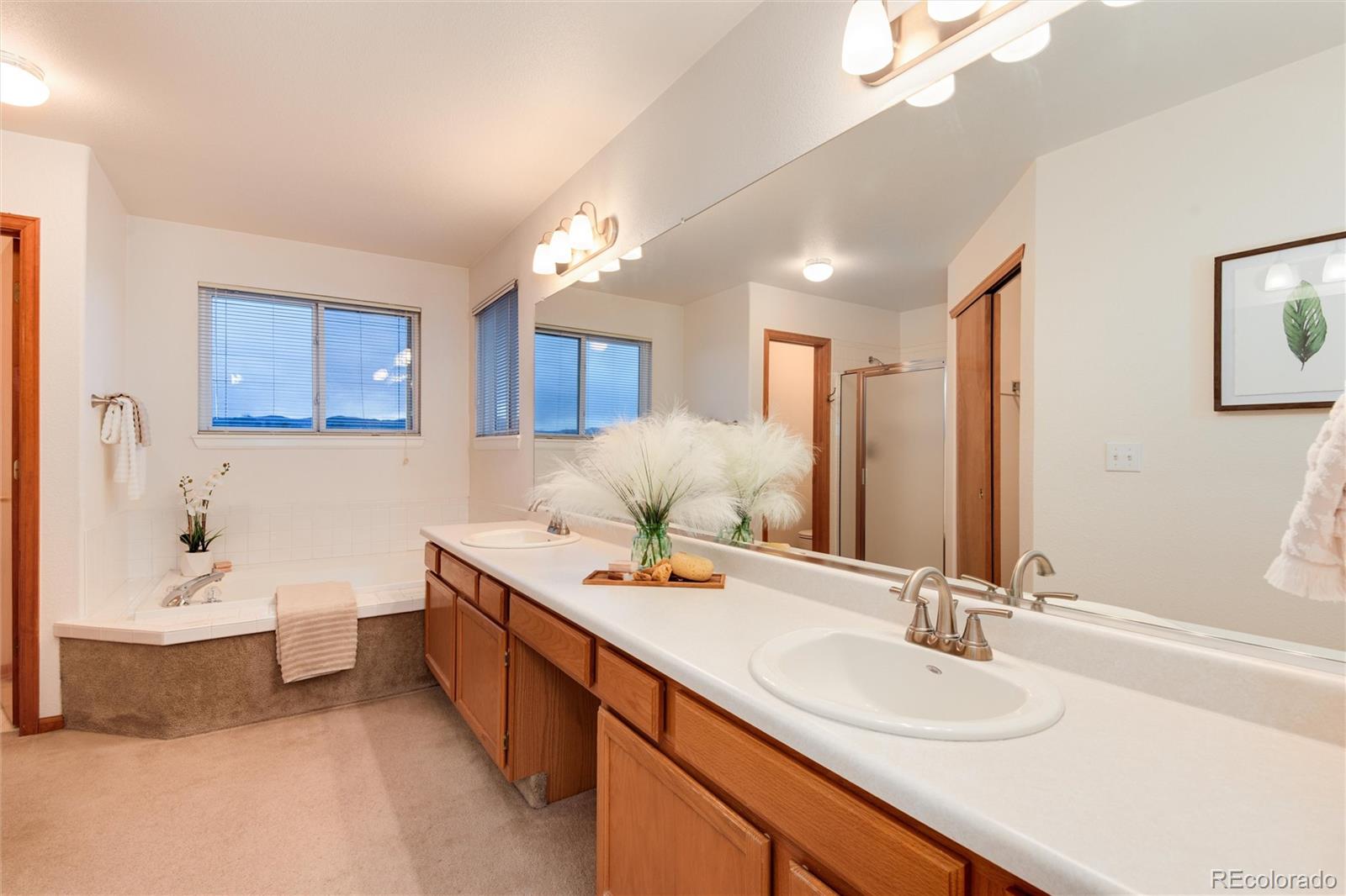 10233 Silver Maple Circle Highlands Ranch, CO 80129 - Photo 17 of 35 Gallery Image 17
