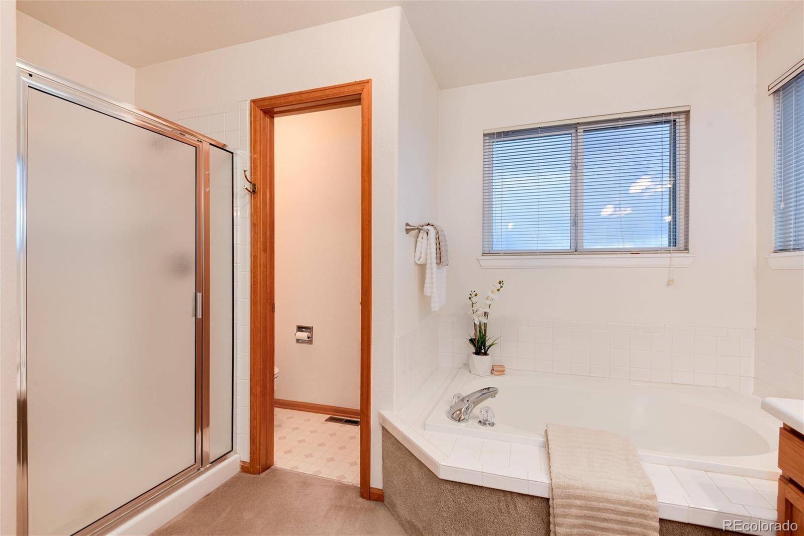 10233 Silver Maple Circle Highlands Ranch, CO 80129 - Photo 18 of 35 Gallery Image 18