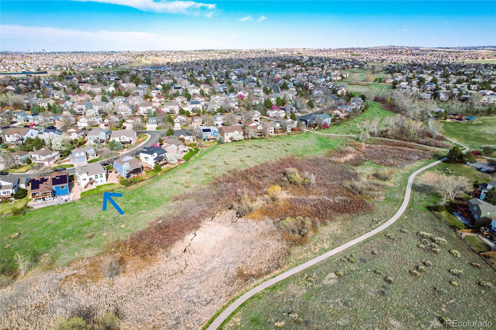 10233 Silver Maple Circle Highlands Ranch, CO 80129 - Photo 4 of 35 Gallery Image 4