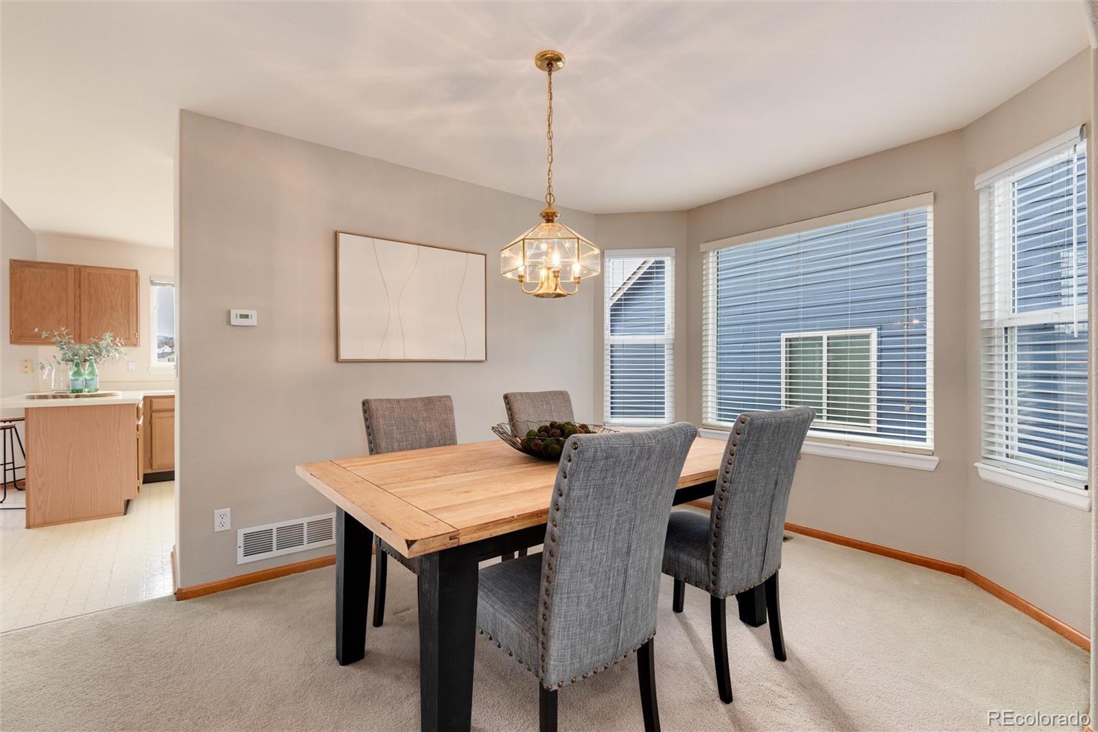 10233 Silver Maple Circle Highlands Ranch, CO 80129 - Photo 10 of 35 Gallery Image 10