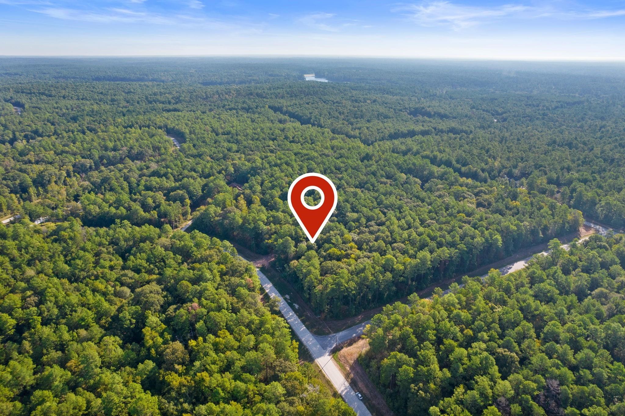 244 Remington Road Huntsville, TX 77340 - Photo 4 of 16