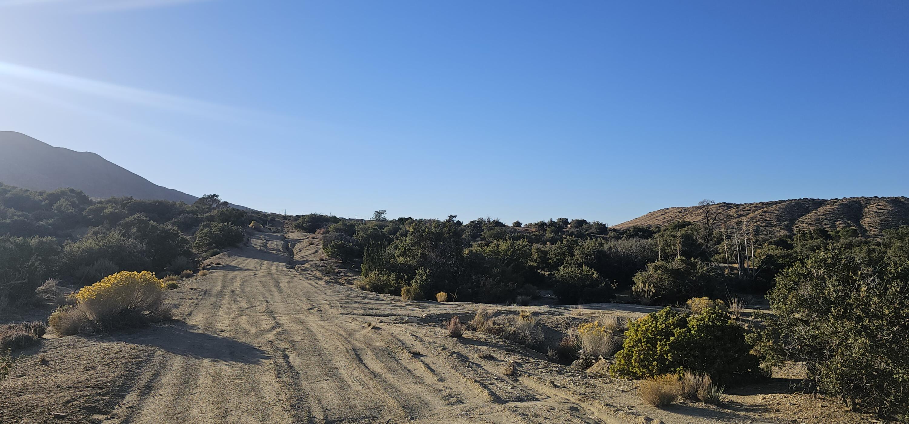Nearwood Road Pearblossom, CA 93553 - Photo 2 of 4 a view of a houses with a mountain view