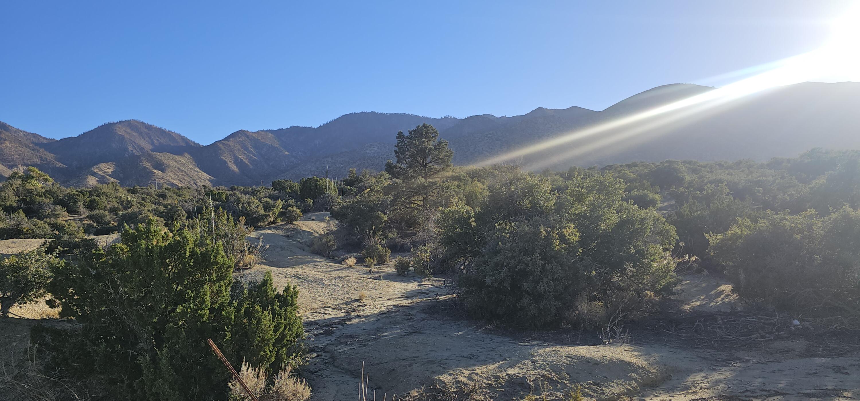 Nearwood Road Pearblossom, CA 93553 - Photo 3 of 4 a view of a street with a mountain in the background