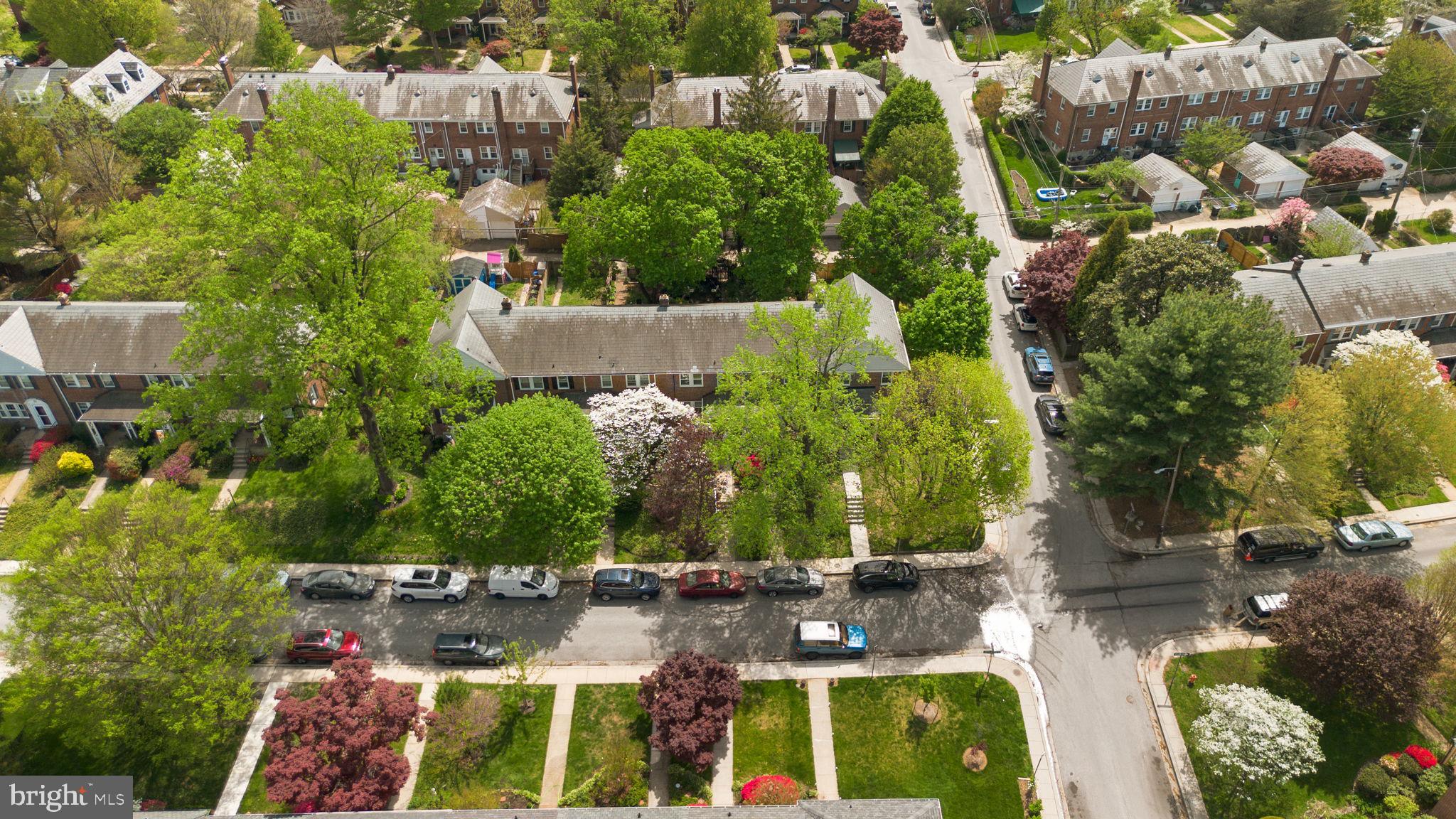 79 Murdock Road Baltimore, MD 21212 - Photo 29 of 38 Lush neighborhood in vibrant spring bloom.