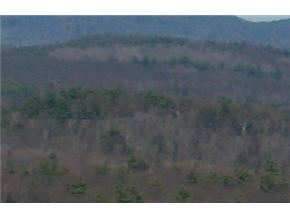 Lot 0 Brush Brook Road Dublin, NH 03444 - Photo 2 of 2