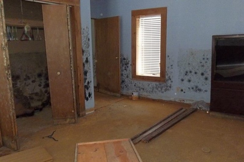 4349 Washburn Road Vassar, MI 48768 - Photo 3 of 14