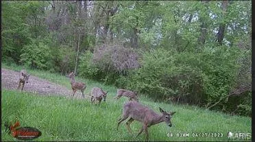 $285,000 | 15275 Shipman Road, Carlinville, IL 62626