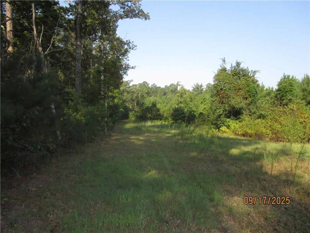 0 Mary Barron Road Pollock, LA 71467 - Photo 12 of 15 Gallery Image 12
