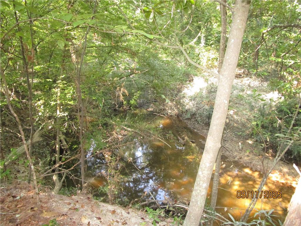 0 Mary Barron Road Pollock, LA 71467 - Photo 15 of 15 Gallery Image 15