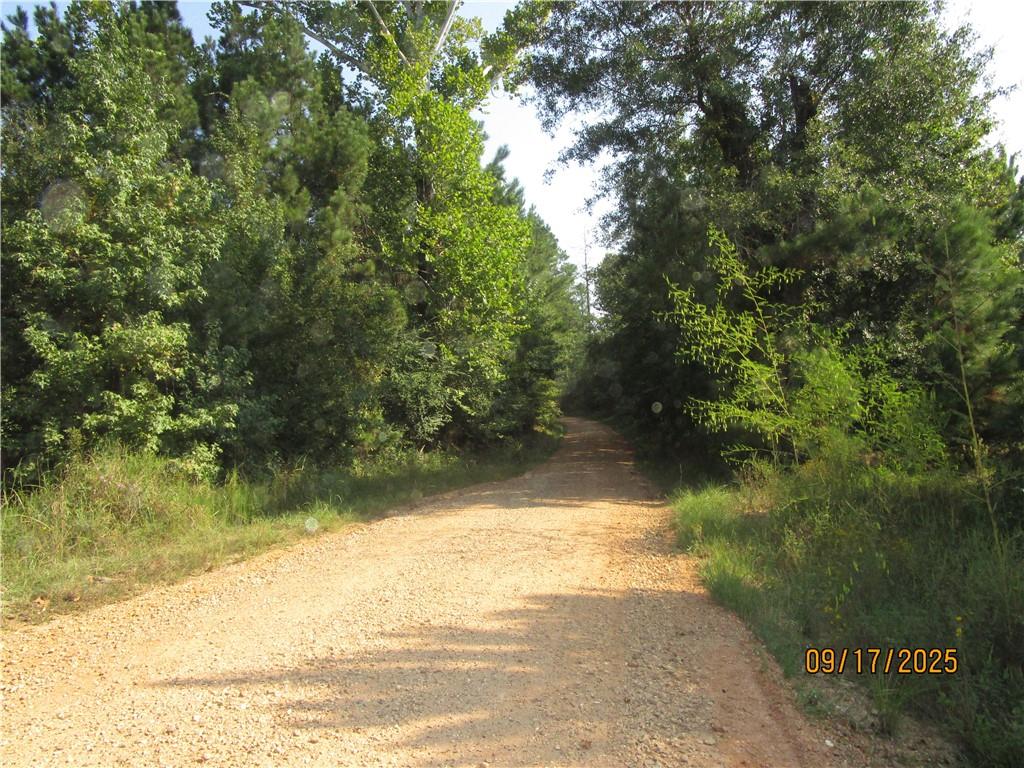 Gallery Image 7