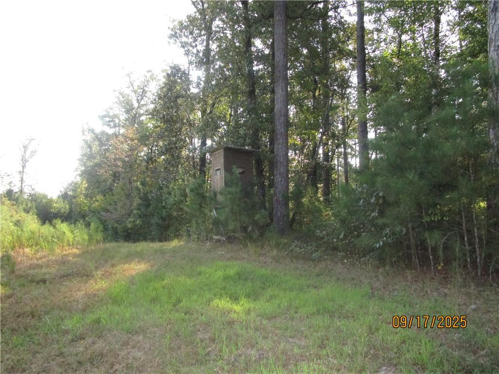 0 Mary Barron Road Pollock, LA 71467 - Photo 9 of 15 Gallery Image 9