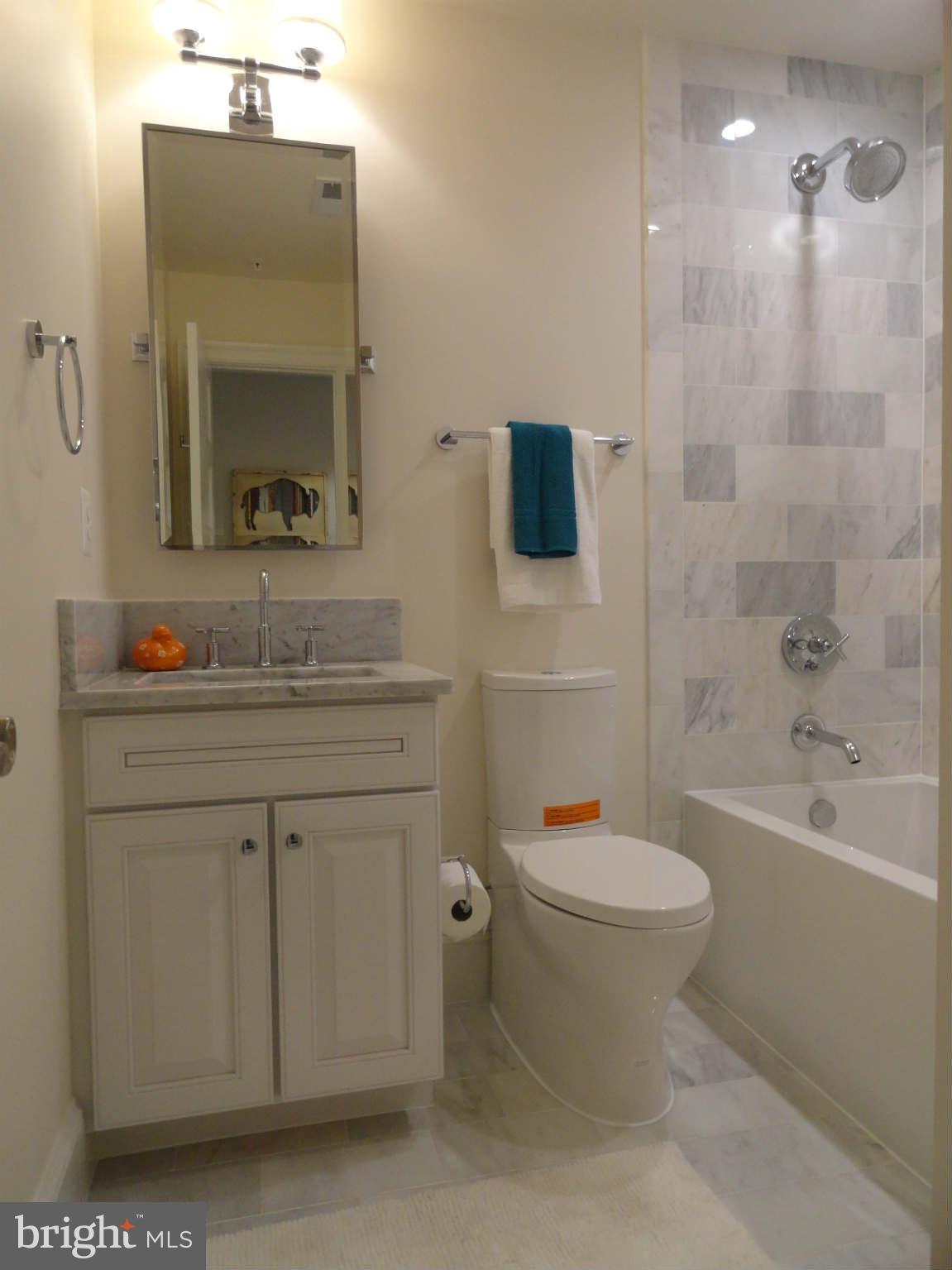 2446 Ontario Road Northwest, Unit 1 Washington, DC 20009 - Photo 10 of 11 Bath