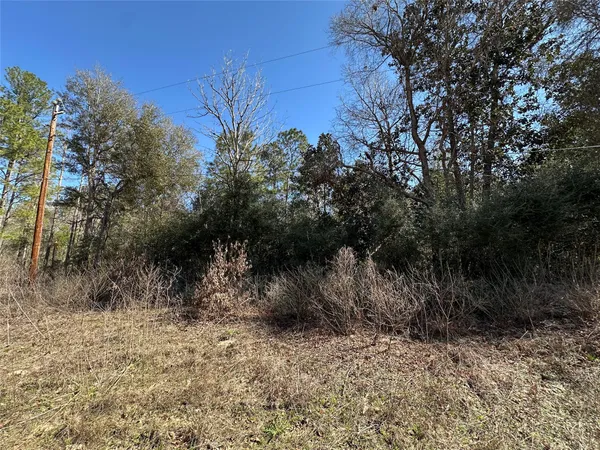 $30,000 | 2727 Cleveland Tx 77327, Cleveland, TX 77327