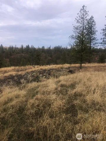 a view of a lake with trees in the background