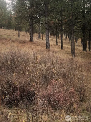 a view of covered with trees