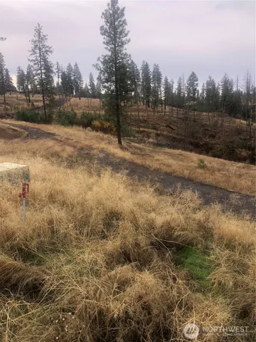 a view of dirt field with trees in the background
