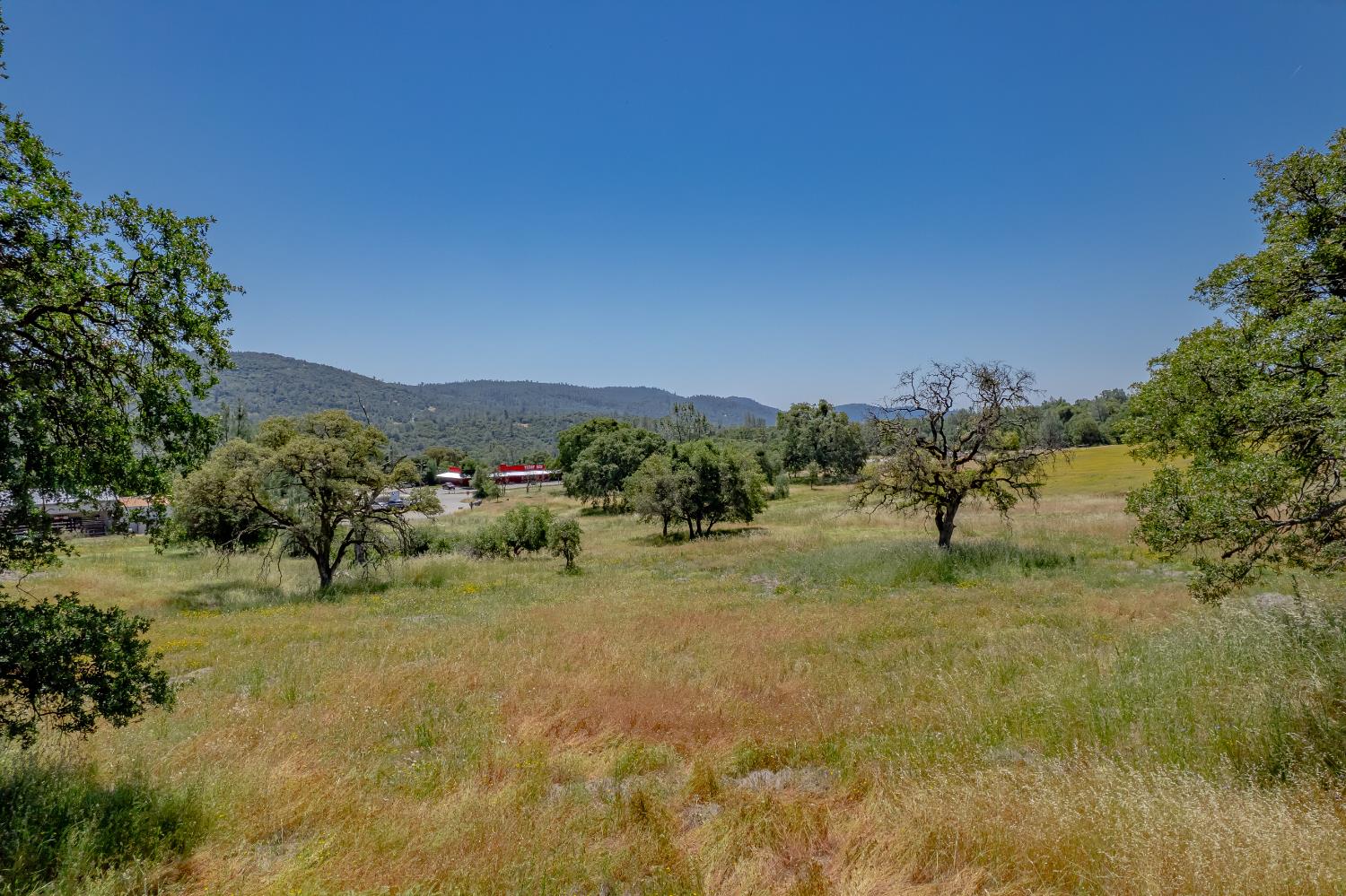 13812 Willow Glen Road Rackerby, CA 95972 - Photo 9 of 21