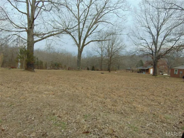$15,900 | 142 Ripley 142w-a, Doniphan, MO 63935